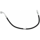 Purchase Top-Quality Front Brake Hose by RAYBESTOS - BH383736 pa1