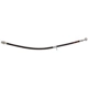 Purchase Top-Quality Front Brake Hose by RAYBESTOS - BH383766 pa2