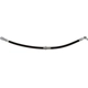 Purchase Top-Quality Front Brake Hose by RAYBESTOS - BH383798 pa1