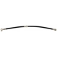 Purchase Top-Quality Front Brake Hose by RAYBESTOS - BH383817 pa2