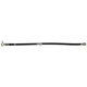 Purchase Top-Quality Front Brake Hose by RAYBESTOS - BH383818 pa1