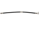 Purchase Top-Quality Front Brake Hose by RAYBESTOS - BH383819 pa4