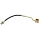 Purchase Top-Quality Front Brake Hose by RAYBESTOS - BH38383 pa1