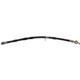 Purchase Top-Quality Front Brake Hose by RAYBESTOS - BH383834 pa2