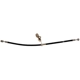 Purchase Top-Quality Front Brake Hose by RAYBESTOS - BH383836 pa3