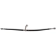 Purchase Top-Quality Front Brake Hose by RAYBESTOS - BH383843 pa5