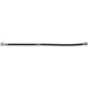 Purchase Top-Quality Front Brake Hose by RAYBESTOS - BH383858 pa2