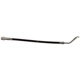 Purchase Top-Quality Front Brake Hose by RAYBESTOS - BH383887 pa2