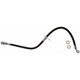 Purchase Top-Quality Front Brake Hose by RAYBESTOS - BH384011 pa2