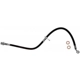 Purchase Top-Quality Front Brake Hose by RAYBESTOS - BH384011 pa5