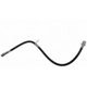 Purchase Top-Quality Front Brake Hose by RAYBESTOS - BH384056 pa4
