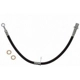 Purchase Top-Quality Front Brake Hose by RAYBESTOS - BH384060 pa4