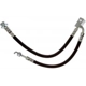 Purchase Top-Quality Front Brake Hose by RAYBESTOS - BH384066 pa3