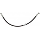 Purchase Top-Quality Front Brake Hose by RAYBESTOS - BH384128 pa3
