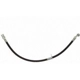 Purchase Top-Quality Front Brake Hose by RAYBESTOS - BH384128 pa6