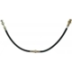 Purchase Top-Quality Front Brake Hose by RAYBESTOS - BH38413 pa11