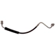 Purchase Top-Quality Front Brake Hose by RAYBESTOS - BH384135 pa4