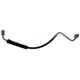 Purchase Top-Quality Front Brake Hose by RAYBESTOS - BH384135 pa5