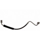 Purchase Top-Quality Front Brake Hose by RAYBESTOS - BH384135 pa8