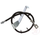 Purchase Top-Quality Front Brake Hose by RAYBESTOS - BH384137 pa1