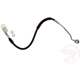 Purchase Top-Quality Front Brake Hose by RAYBESTOS - BH384249 pa1