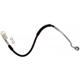 Purchase Top-Quality Front Brake Hose by RAYBESTOS - BH384249 pa4