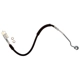 Purchase Top-Quality Front Brake Hose by RAYBESTOS - BH384249 pa9