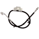 Purchase Top-Quality Front Brake Hose by RAYBESTOS - BH384273 pa5