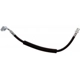 Purchase Top-Quality Front Brake Hose by RAYBESTOS - BH384296 pa3