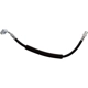 Purchase Top-Quality Front Brake Hose by RAYBESTOS - BH384296 pa5