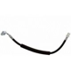 Purchase Top-Quality Front Brake Hose by RAYBESTOS - BH384296 pa8
