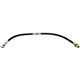 Purchase Top-Quality Front Brake Hose by RAYBESTOS - BH38430 pa2