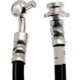 Purchase Top-Quality Front Brake Hose by RAYBESTOS - BH384316 pa6