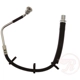 Purchase Top-Quality Front Brake Hose by RAYBESTOS - BH384330 pa1