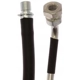 Purchase Top-Quality Front Brake Hose by RAYBESTOS - BH384330 pa4