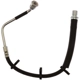 Purchase Top-Quality Front Brake Hose by RAYBESTOS - BH384330 pa5