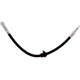 Purchase Top-Quality Front Brake Hose by RAYBESTOS - BH384364 pa6