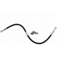 Purchase Top-Quality Front Brake Hose by RAYBESTOS - BH384375 pa7