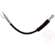 Purchase Top-Quality Front Brake Hose by RAYBESTOS - BH384410 pa2