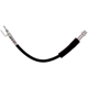 Purchase Top-Quality Front Brake Hose by RAYBESTOS - BH384410 pa6