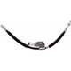 Purchase Top-Quality Front Brake Hose by RAYBESTOS - BH384420 pa3