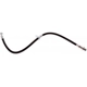 Purchase Top-Quality Front Brake Hose by RAYBESTOS - BH384429 pa4