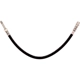 Purchase Top-Quality Front Brake Hose by RAYBESTOS - BH384437 pa11