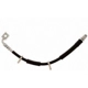 Purchase Top-Quality Front Brake Hose by RAYBESTOS - BH384450 pa5