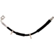 Purchase Top-Quality Front Brake Hose by RAYBESTOS - BH384450 pa6