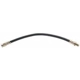 Purchase Top-Quality Front Brake Hose by RAYBESTOS - BH38478 pa1