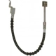 Purchase Top-Quality Front Brake Hose by RAYBESTOS - BH38499 pa10