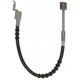 Purchase Top-Quality Front Brake Hose by RAYBESTOS - BH38499 pa13