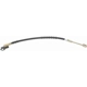 Purchase Top-Quality Front Brake Hose by RAYBESTOS - BH38499 pa8