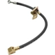 Purchase Top-Quality Front Brake Hose by RAYBESTOS - BH38517 pa2